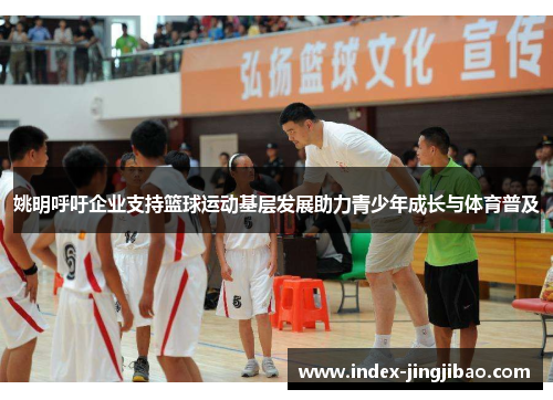 姚明呼吁企业支持篮球运动基层发展助力青少年成长与体育普及