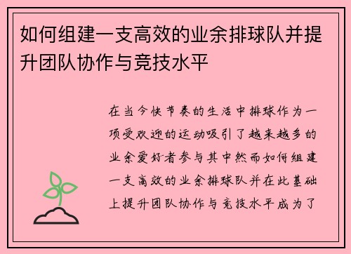 如何组建一支高效的业余排球队并提升团队协作与竞技水平