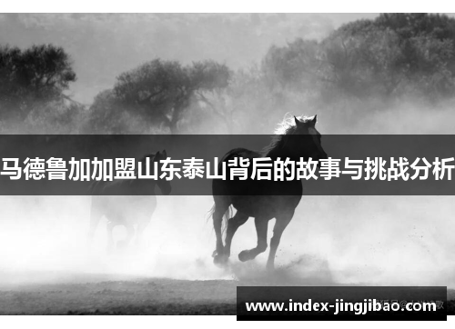 马德鲁加加盟山东泰山背后的故事与挑战分析